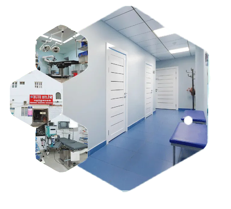 Blue Modern Hospital operation theatre